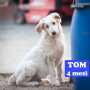 tia-e-tom-cuccioli-4-mesi-small-1